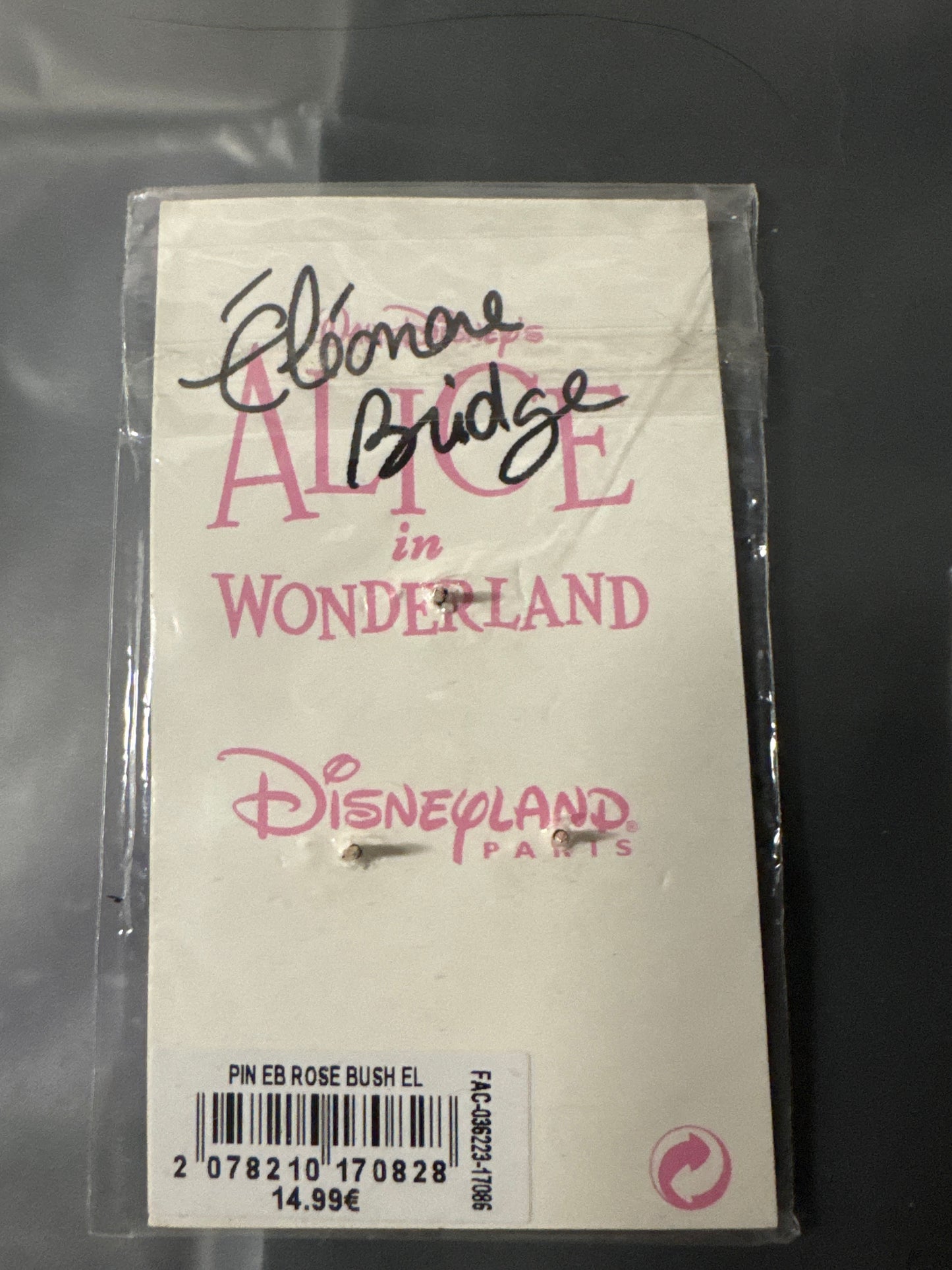 Eleonora Bridge Painting Roses Alice in Wonderland Signed By Artist LE 400 DLP Disney Pin