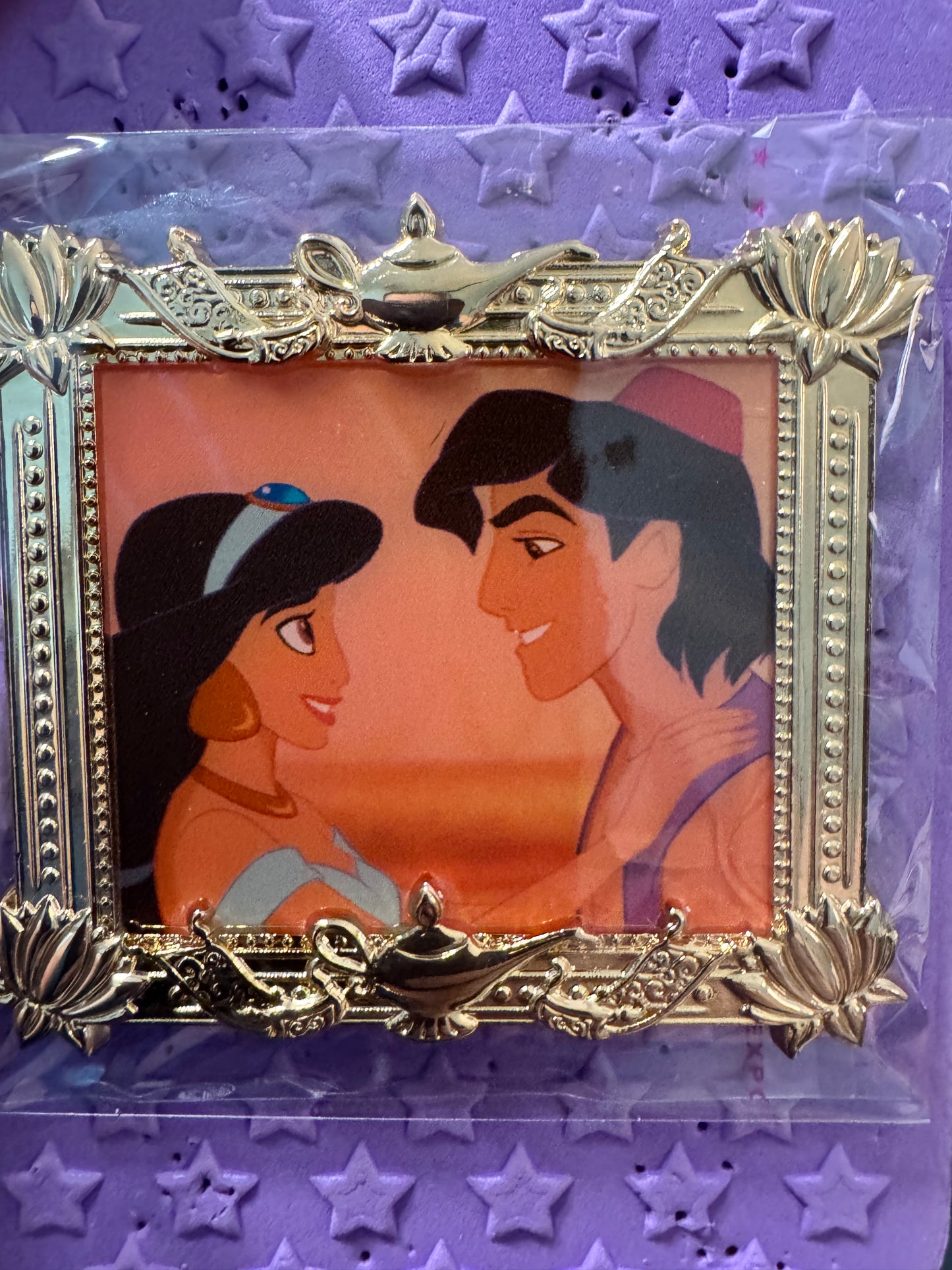 GoPinPro LE 300 Picture Perfect Disney Pin Jasmine and Aladdin Disney Pin