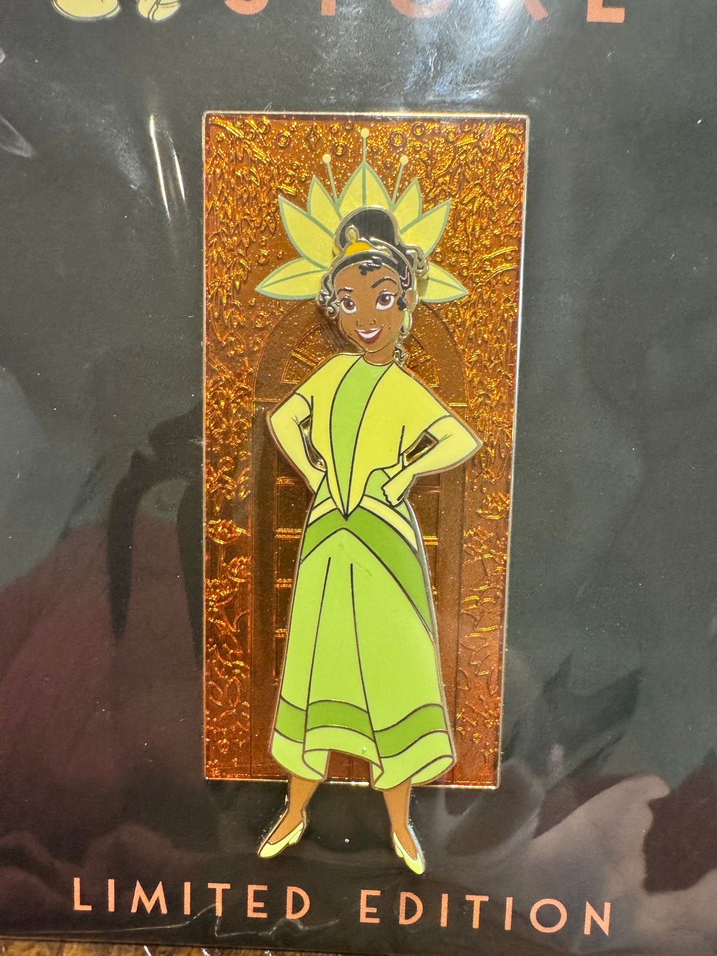 D23 DEC Game Changers Princesses