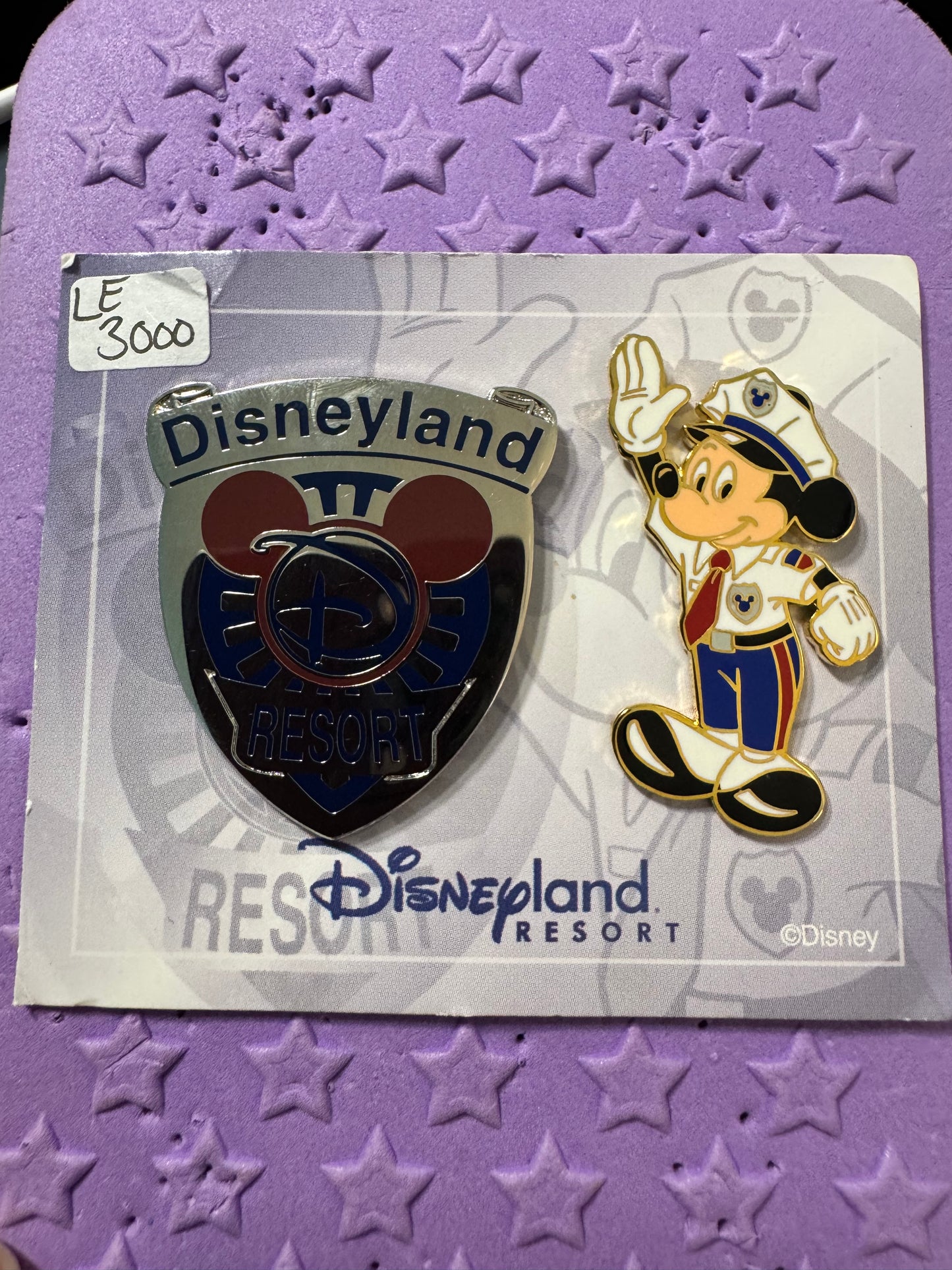 Disneyland Resort Security 2 pin Set LE 3000 Disney Pin